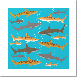 Shark frenzy Posters and Art